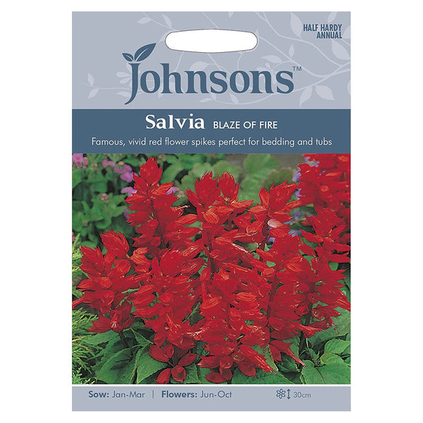 Johnsons Salvia Blaze Of Fire Seeds - DeWaldens Garden Centre