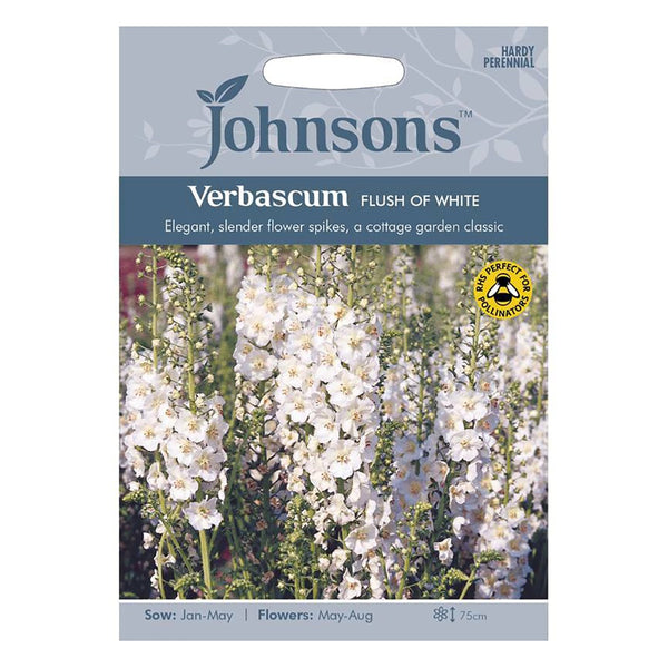 Johnsons Verbascum Flush Of White Seeds - DeWaldens Garden Centre