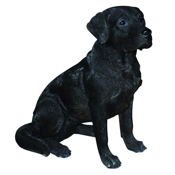 Vivid Arts Black Labrador - DeWaldens Garden Centre