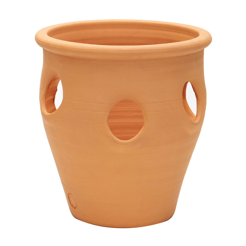 Apta Terracotta Herb / Strawberry Planter DeWaldens Garden Centre