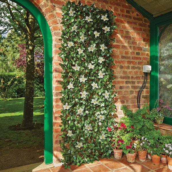 Gardman White Clematis Trellis | Medium | DeWaldens Garden Centre