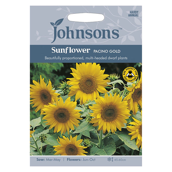 Johnsons Sunflower Pacino Gold Seeds - DeWaldens Garden Centre