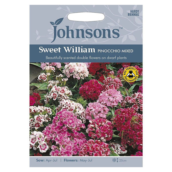 Johnsons Sweet William Pinocchio Mixed Seeds - DeWaldens Garden Centre