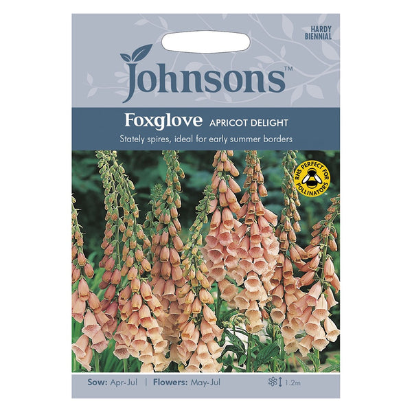 Johnsons Foxglove Apricot Delight Seeds - DeWaldens Garden Centre