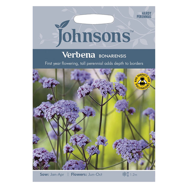 Johnsons Verbena Bonariensis Seeds - DeWaldens Garden Centre