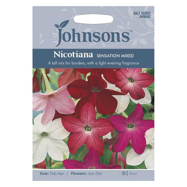 Johnsons Nicotiana Sensation Mixed Seeds - DeWaldens Garden Centre