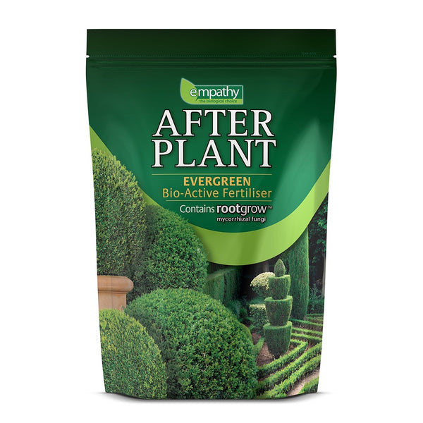 Empathy After Plant Evergreen 1kg - DeWaldens Garden Centre