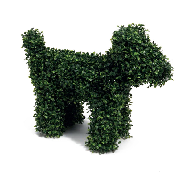 Henry Bell Boxwood Bella Dog | 56cm | DeWaldens Garden Centre