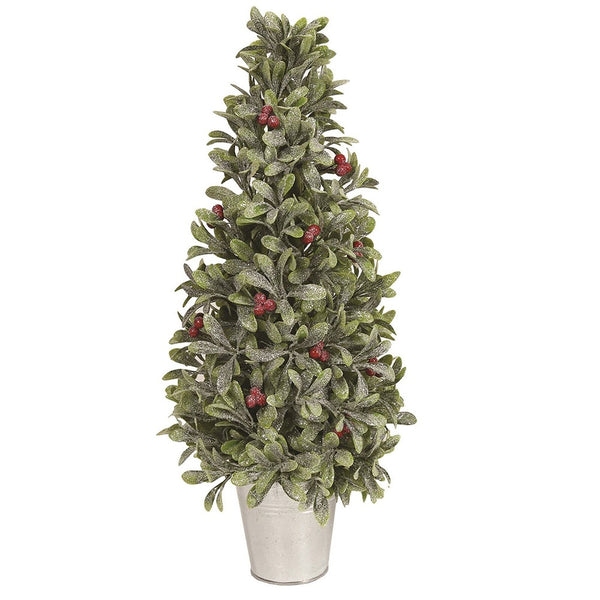 Straits Leaf & Berry Tree - DeWaldens Garden Centre