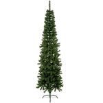 Premier 2.2m Spruce Pine - DeWaldens Garden Centre