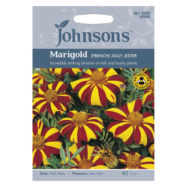 Johnsons Marigold (French) Jolly Jester Seeds - DeWaldens Garden Centre