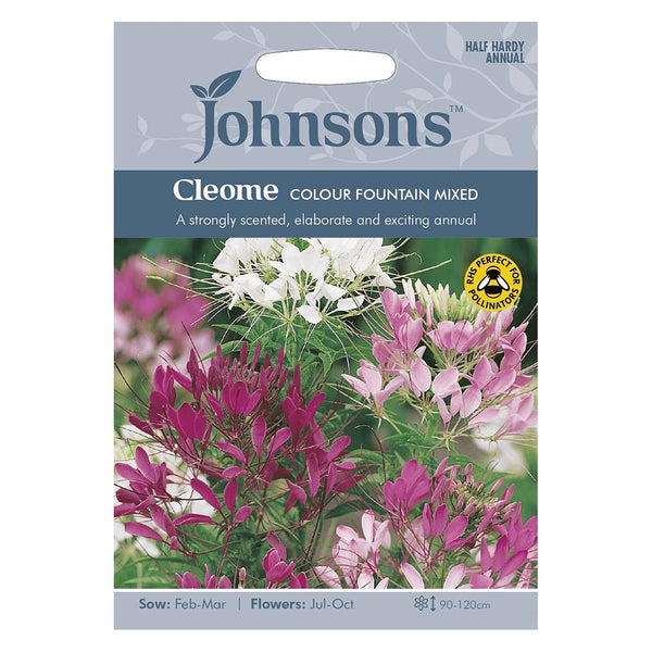 Johnsons Cleome Colour Fountain Mixed Seeds - DeWaldens Garden Centre
