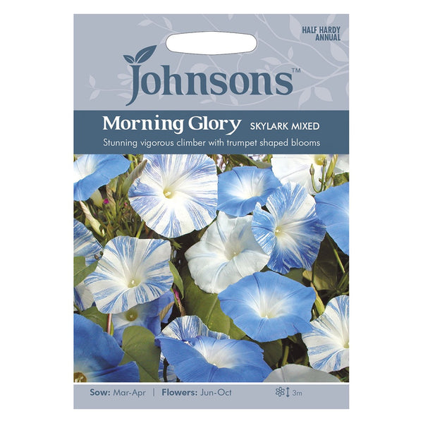Johnsons Morning Glory Skylark Mixed Seeds - DeWaldens Garden Centre