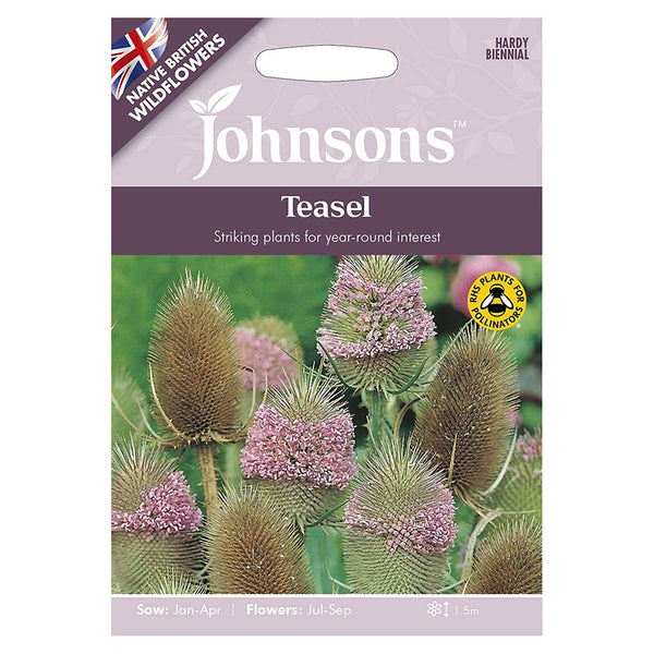 Johnsons Teasel Seeds - DeWaldens Garden Centre