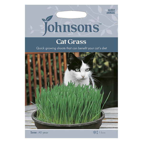 Johnsons Cat Grass Seeds - DeWaldens Garden Centre