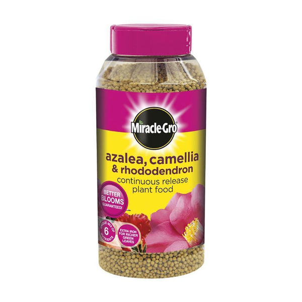 Miracle Gro Azalea, Camellia & Rhododendron Continuous Release Plant Food 1kg - DeWaldens Garden Centre