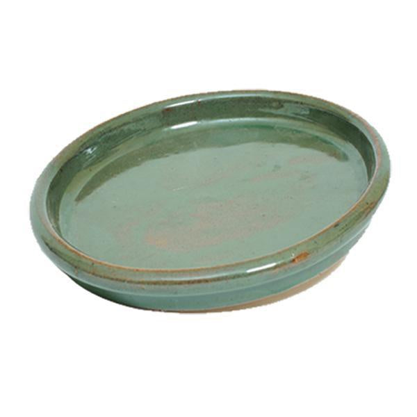 Apta Saucer - DeWaldens Garden Centre