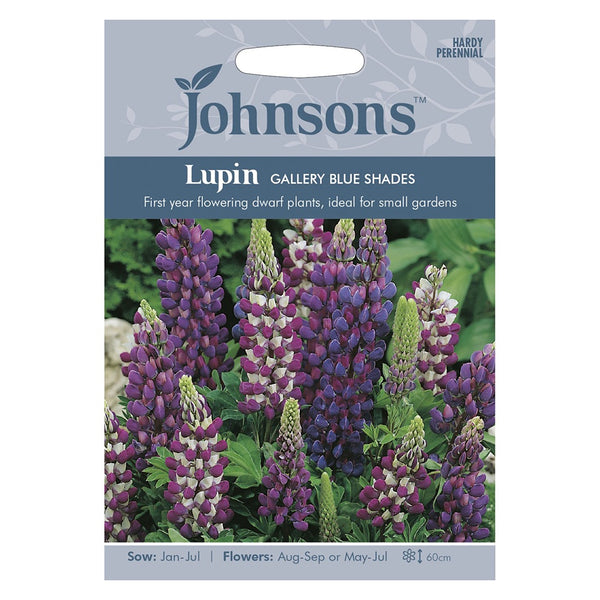 Johnsons Lupin Gallery Blue Shades Seeds - DeWaldens Garden Centre