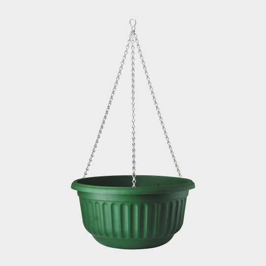 Corinthian Hanging Basket Dark Green | 31.5 x 16.5 cm | DeWaldens Garden Centre