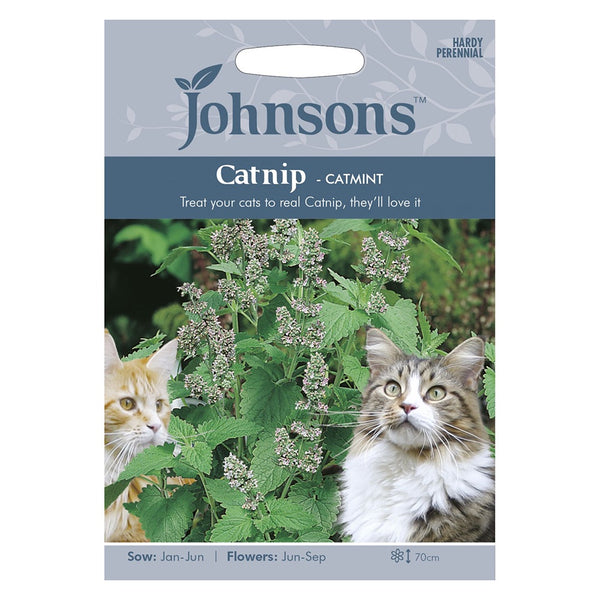 Johnsons Catnip - Catmint Seeds - DeWaldens Garden Centre
