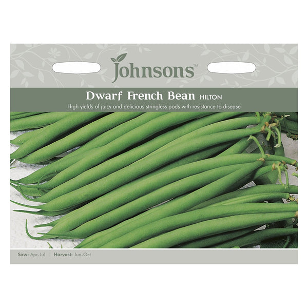 Johnsons Dwarf French Bean Hilton Seeds - DeWaldens Garden Centre