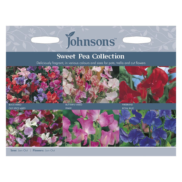 Johnsons Sweet Pea Collection Seeds - DeWaldens Garden Centre