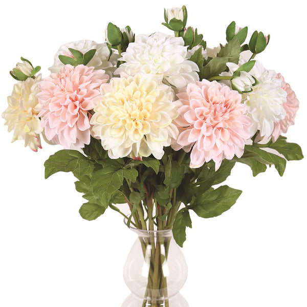 Straits Dahlia Stem 64cm Asst - DeWaldens Garden Centre