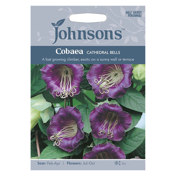 Johnsons Cobaea Cathedral Bells Seeds - DeWaldens Garden Centre
