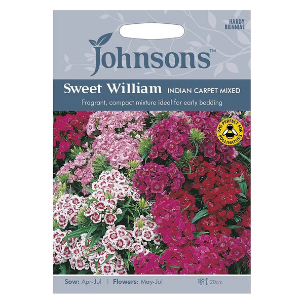 Johnsons Sweet William Indian Carpet Mixed Seeds - DeWaldens Garden Centre