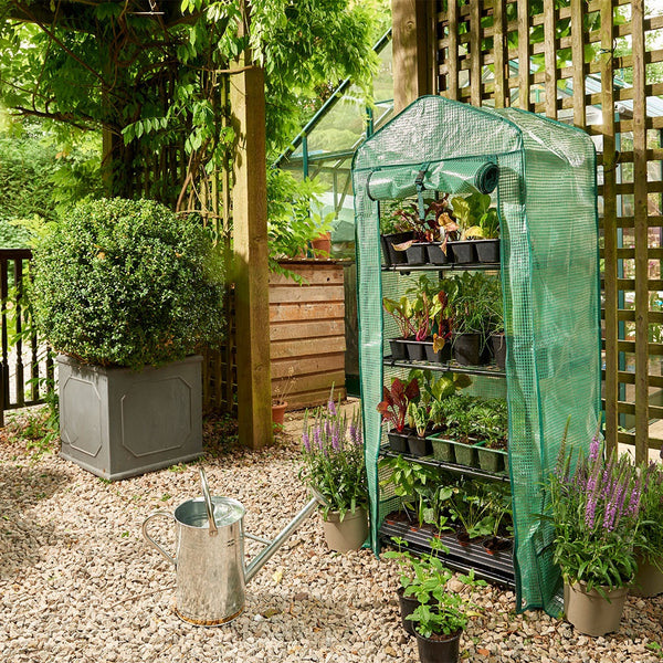 Grow It Premium 4 Tier Compact Growhouse Cover - DeWaldens Garden Centre