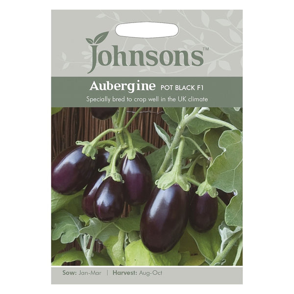 Johnsons Aubergine Pot Black F1 Seeds - DeWaldens Garden Centre