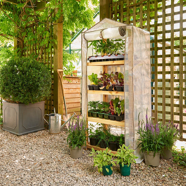 Grow It Premium 4 Tier Wooden Growhouse Cover - DeWaldens Garden Centre