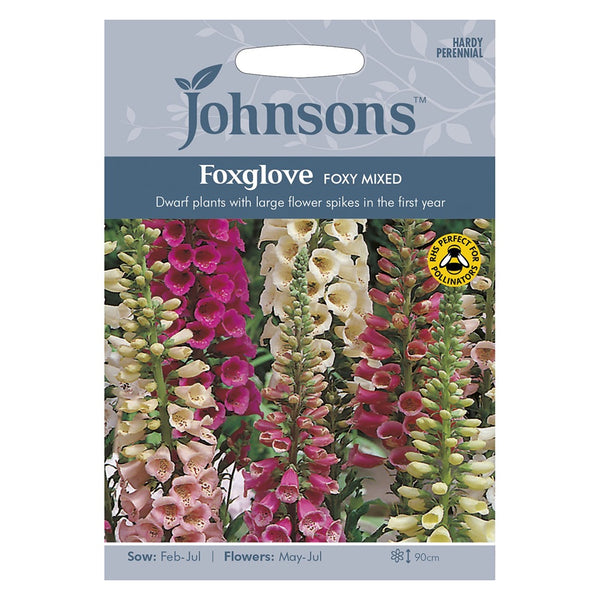 Johnsons Foxglove Foxy Mixed Seeds - DeWaldens Garden Centre