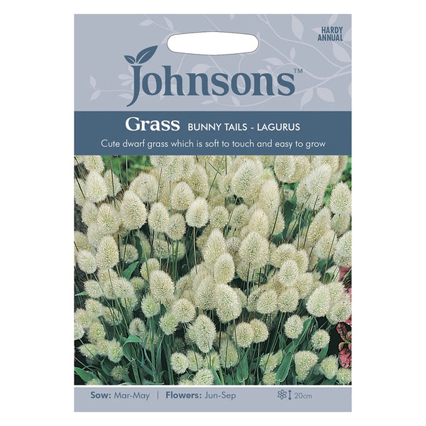 Johnsons Grass Bunny Tails - Lagurus Seeds - DeWaldens Garden Centre
