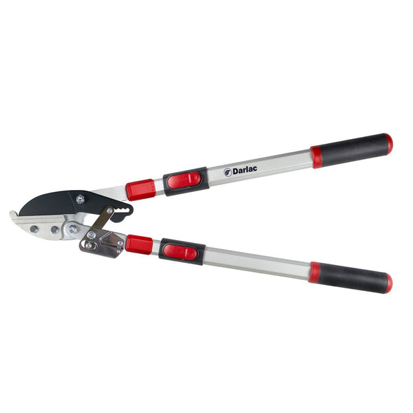 Darlac Telescopic Ratchet Lopper - DeWaldens Garden Centre