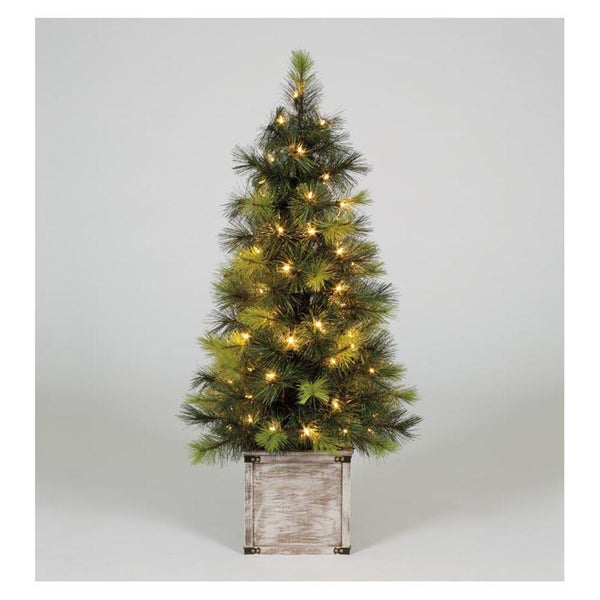 Snowtime Scots Pine Porch Tree 4ft - DeWaldens Garden Centre