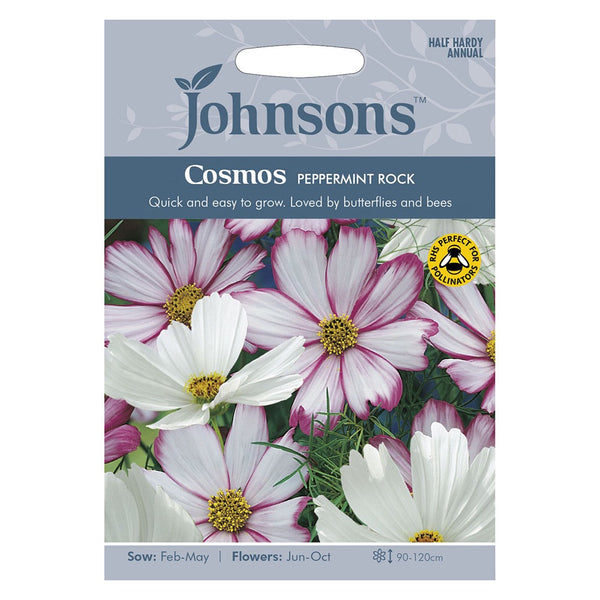 Johnsons Cosmos Peppermint Rock Seeds - DeWaldens Garden Centre
