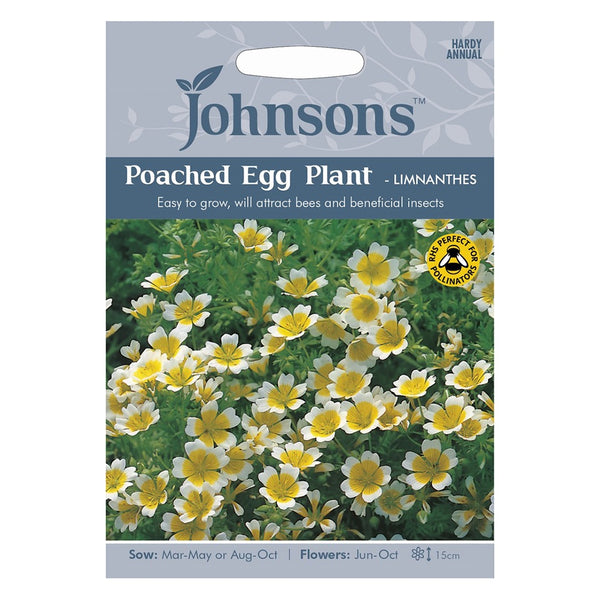 Johnsons Poached Egg Plant - Limnanthes Seeds - DeWaldens Garden Centre