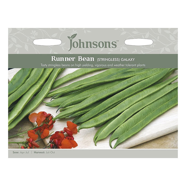 Johnsons Runner Bean Galaxy (Stringless) Seeds - DeWaldens Garden Centre