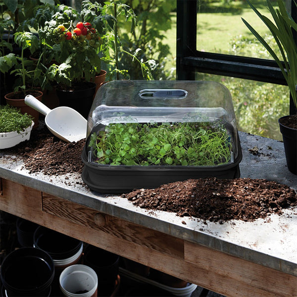 Elho Green Basics All in One Grow Kit - DeWaldens Garden Centre