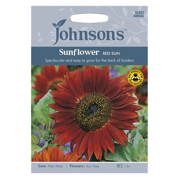 Johnsons Sunflower Red Sun Seeds - DeWaldens Garden Centre