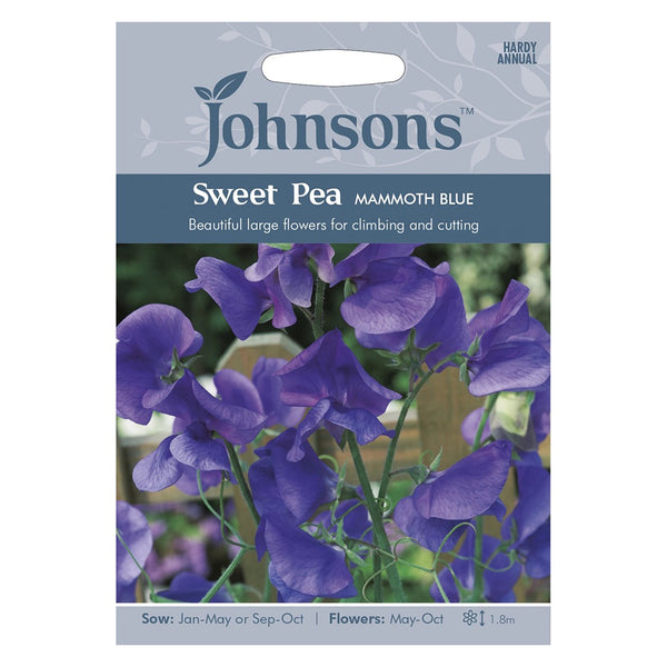 Johnsons Sweet Pea Mammoth Blue Seeds - DeWaldens Garden Centre