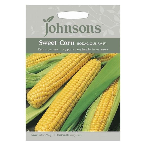 Johnsons Sweet Corn Bodacious Rm F1 Seeds - DeWaldens Garden Centre