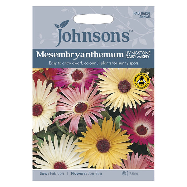 Johnsons Mesembryanthemum Livingstone Daisy Mixed Seeds - DeWaldens Garden Centre