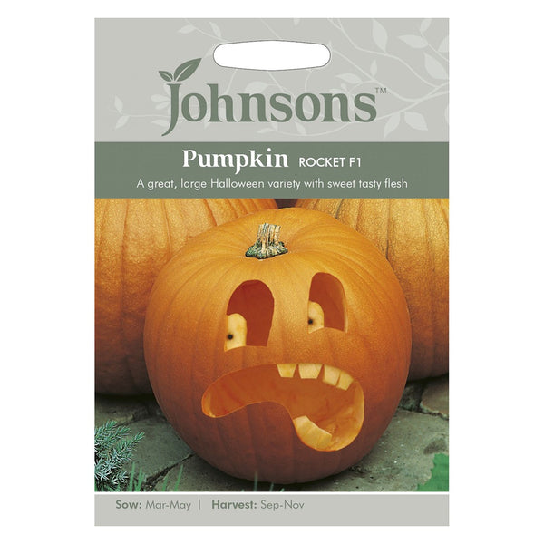 Johnsons Pumpkin Rocket F1 Seeds - DeWaldens Garden Centre