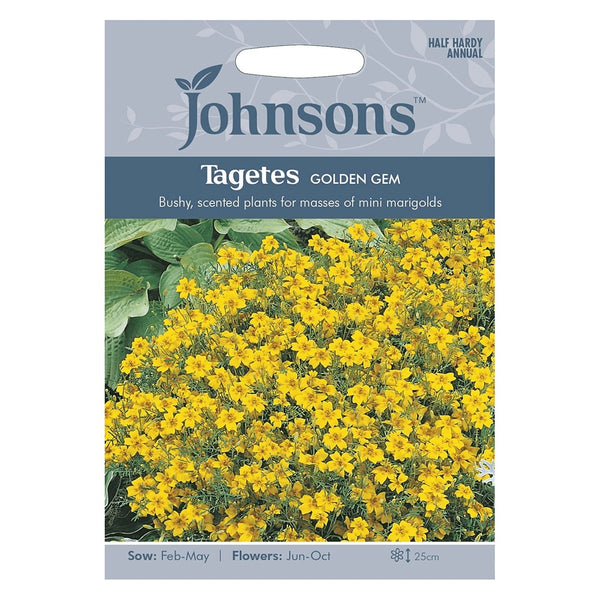 Johnsons Tagetes Golden Gem Seeds - DeWaldens Garden Centre