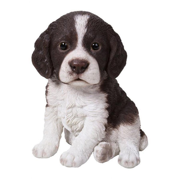 Vivid Arts Springer Spaniel Puppy Pet Pals - DeWaldens Garden Centre