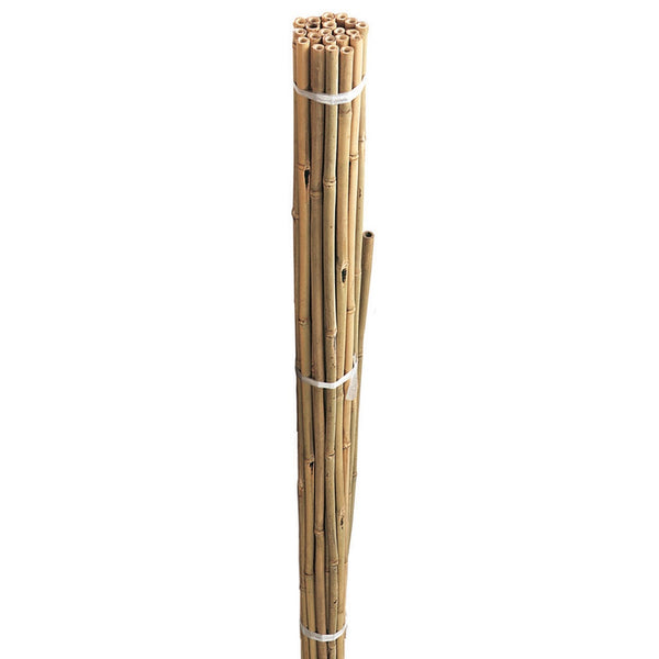 Grow It Bamboo Canes Bundle | 120cm | DeWaldens Garden Centre