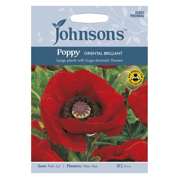 Johnsons Poppy Oriental Brilliant Seeds - DeWaldens Garden Centre