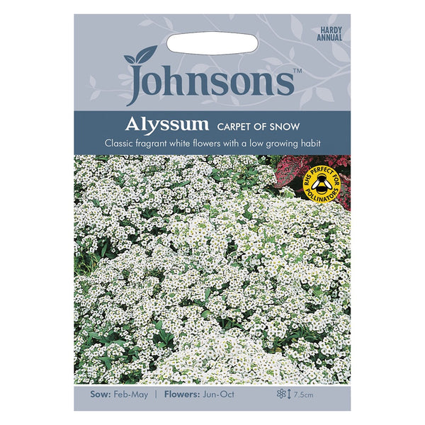 Johnsons Alyssum Carpet Of Snow Seeds - DeWaldens Garden Centre